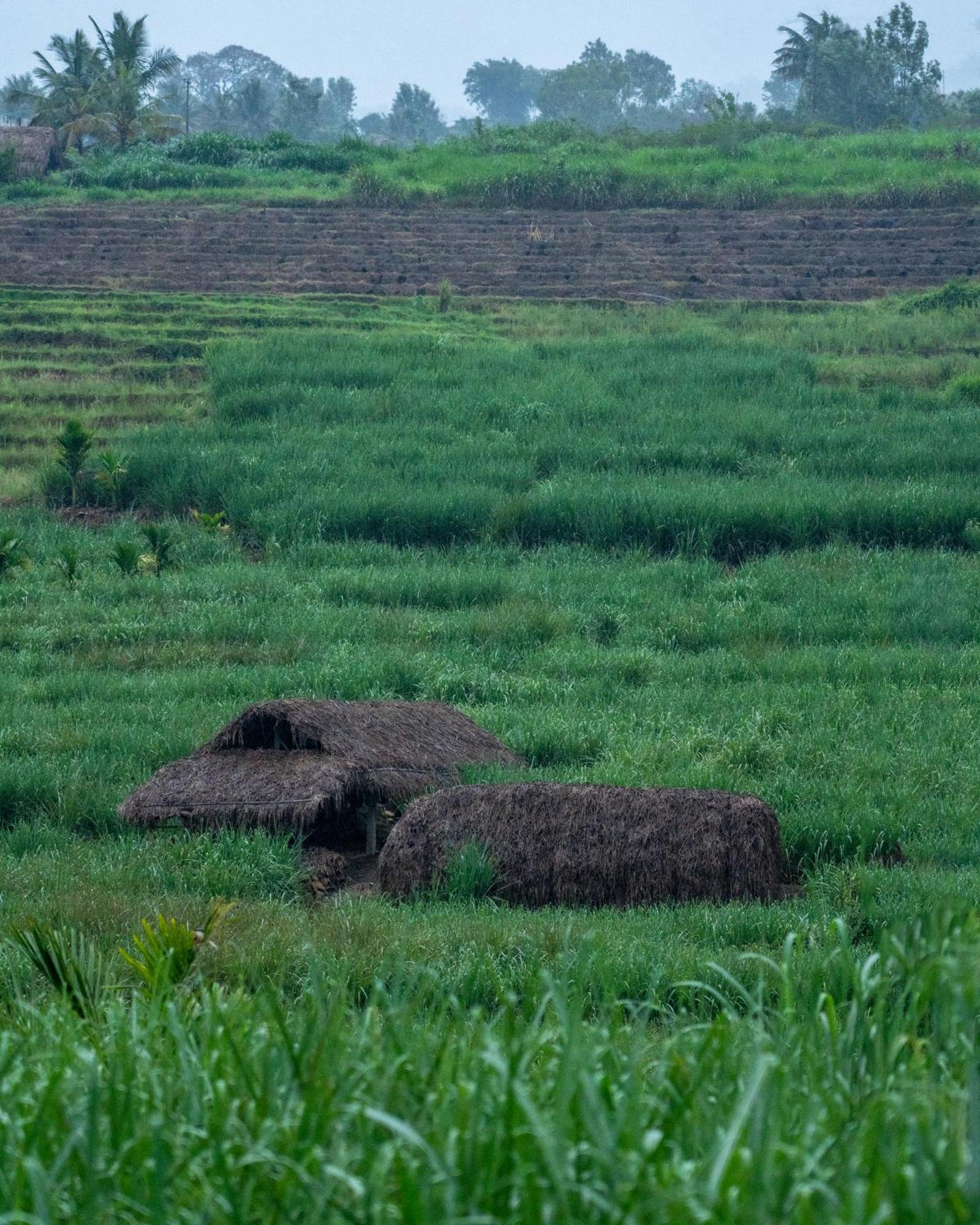 The Mudhouse Marayoor Ξενοδοχείο Munnar Εξωτερικό φωτογραφία